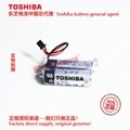 ER17500VPS2C53 Oval flowmeter battery ER17500V/3.6V Toshiba original battery 14