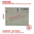 MC10-BT6 MC10-BT2 SANYO Sanyo Electric lithium battery Toshiba ER6V/3.6V 11