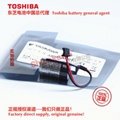 JZSP-BA01 Toshiba ER3V/3.6V battery Yaskawa robot battery 146705-1,704004 9