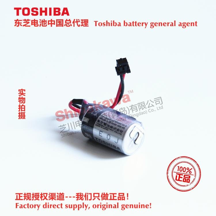 ER3V/3.6V 东芝Toshiba 锂亚电池 中国总代理 可加各种连接器 5