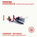 ER3V/3.6V 東芝Toshiba 鋰亞電池 中國總代理 可加各種連接器