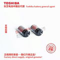 ER3V/3.6V 東芝Toshiba 鋰亞電池 中國總代理 可加各種連接器