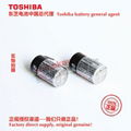 ER3V/3.6V 东芝Toshiba 锂亚电池 中国总代理 可加各种连接器