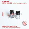 ER3V/3.6V 东芝Toshiba 锂亚电池 中国总代理 可加各种连接器 14