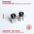 ER3V/3.6V 东芝Toshiba 锂亚电池 中国总代理 可加各种连接器 19