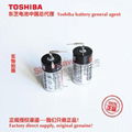 ER3V/3.6V battery Toshiba authorized sales company 19