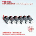 ER4V ER4VP/3.6V 东芝Toshiba 锂亚电池 中国总代理 3