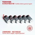 ER4V ER4VP/3.6V 東芝Toshiba 鋰亞電池 中國總代理 3
