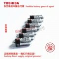 ER4V ER4VP/3.6V 東芝Toshiba 鋰亞電池 中國總代理 12