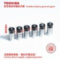 ER4V ER4VP/3.6V 東芝Toshiba 鋰亞電池 中國總代理 19