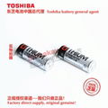 ER17500VP ER17500V/3.6V ER17500VT2 Toshiba battery authorized sales company  8