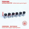 125 ℃ high-temperature battery ER3VH/3.6V Toshiba battery 16
