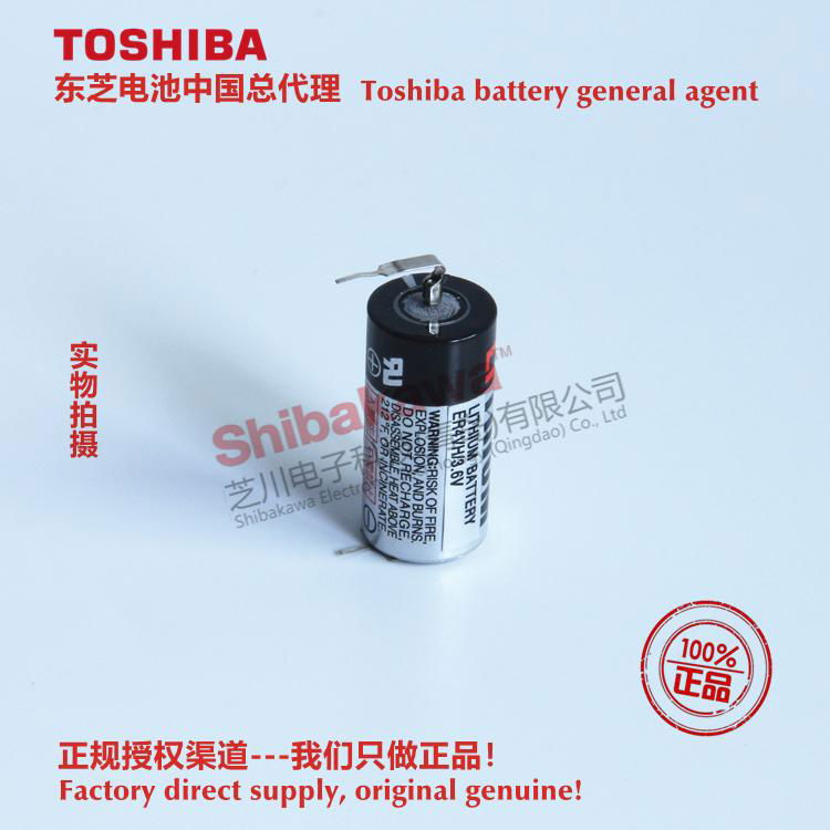 125 ℃ high temperature battery ER4VH/3.6V Toshiba lithium-ion battery 2