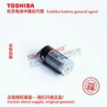 125 ℃ high temperature battery ER4VH/3.6V Toshiba lithium-ion battery