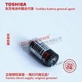 125度高温电池ER4VH/3.6V 东芝Toshiba锂亚电池中国总代理