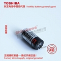 125 ℃ high temperature battery ER4VH/3.6V Toshiba lithium-ion battery