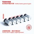 125度高溫電池ER17335VH/3.6V 東芝Toshiba鋰亞電池中國總代理 6