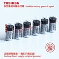 125 ℃ high-temperature battery ER17335VH/3.6V Toshiba lithium sub battery