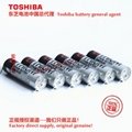 125度高溫電池ER6VH/3.6V 東芝Toshiba鋰亞電池中國總代理 6