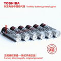 125 ℃ high temperature battery ER6VH/3.6V Toshiba lithium-ion battery