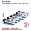 125 ℃ high-temperature battery ER17505VH/3.6V Toshiba lithium sub battery 2