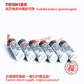 125 ℃ high-temperature battery ER17505VH/3.6V Toshiba lithium sub battery 4