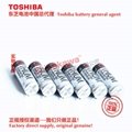 125 ℃ high-temperature battery ER17505VH/3.6V Toshiba lithium sub battery 8