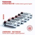 125 ℃ high-temperature battery ER17505VH/3.6V Toshiba lithium sub battery 10