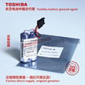 S9185FA Yokogawa DCS system battery ER6V/3.6V Toshiba original battery