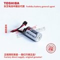 R88A-BAT02W Omron PLC lithium battery Toshiba ER3V lithium battery 6