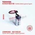 R88A-BAT02W Omron PLC lithium battery Toshiba ER3V lithium battery
