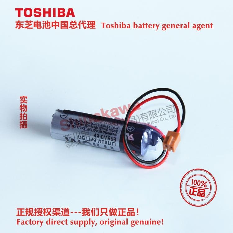 ER6VCT Panasonic TA, TM, TL, FG series robot special battery Toshiba ER6V/3.6V