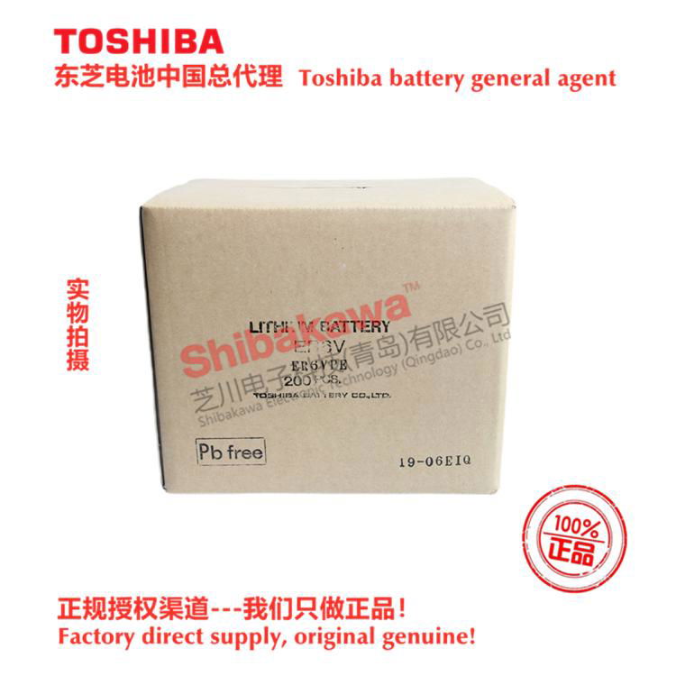 ER6VCT Panasonic TA, TM, TL, FG series robot special battery Toshiba ER6V/3.6V 4