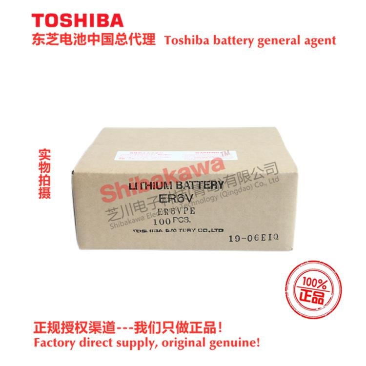 ER6VCT Panasonic TA, TM, TL, FG series robot special battery Toshiba ER6V/3.6V 5