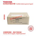 ER6VCT Panasonic TA, TM, TL, FG series robot special battery Toshiba ER6V/3.6V 13