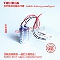 R13B0060005 R13B060005  ESPON S5 series robot battery Toshiba ER6V/3.6V 9