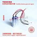 R13B0060005 R13B060005  ESPON S5 series robot battery Toshiba ER6V/3.6V 18
