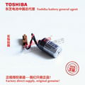 H10195 AL-00494635-01 VATTEREY Fuji NXT/XP  Battery Toshiba ER3V