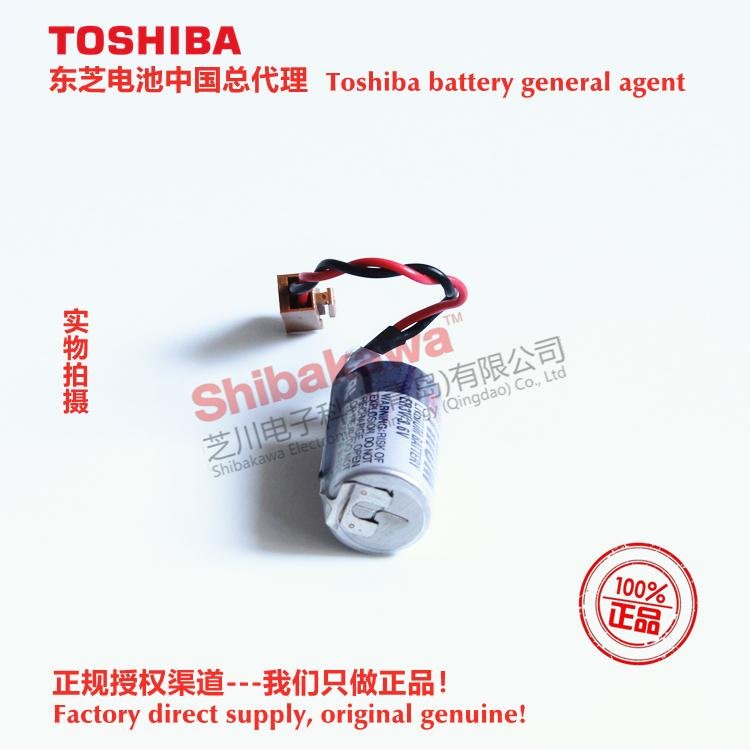 H10195 AL-00494635-01 VATTEREY Fuji NXT/XP  Battery Toshiba ER3V 4