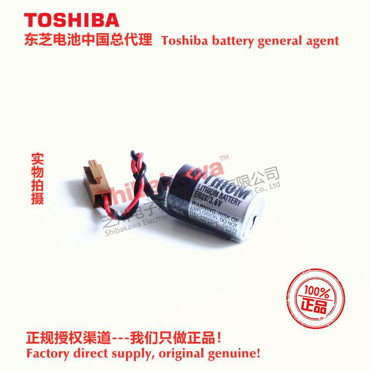 H10195 AL-00494635-01 VATTEREY Fuji NXT/XP  Battery Toshiba ER3V 5