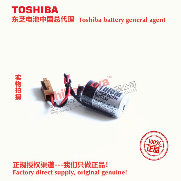 H10195 AL-00494635-01 VATTEREY Fuji NXT/XP  Battery Toshiba ER3V 20