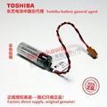 NP8P-BT1 Toshiba lithium battery