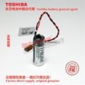 NP8P-BT1 Toshiba lithium battery ER17500V Fuji motor PLC touch screen controller 7