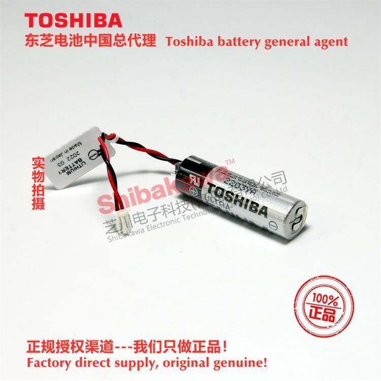 H1021H Fuji FUJI NXT battery H04/H08/H12 battery Toshiba ER6V lithium battery 3