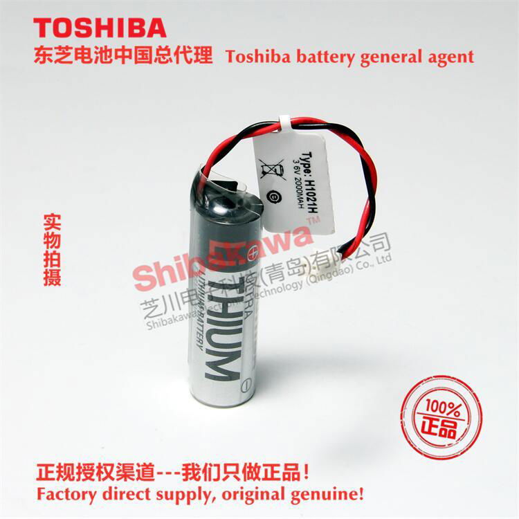 H1021H Fuji FUJI NXT battery H04/H08/H12 battery Toshiba ER6V lithium battery 5