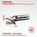 H1021H Fuji FUJI NXT battery H04/H08/H12 battery Toshiba ER6V lithium battery