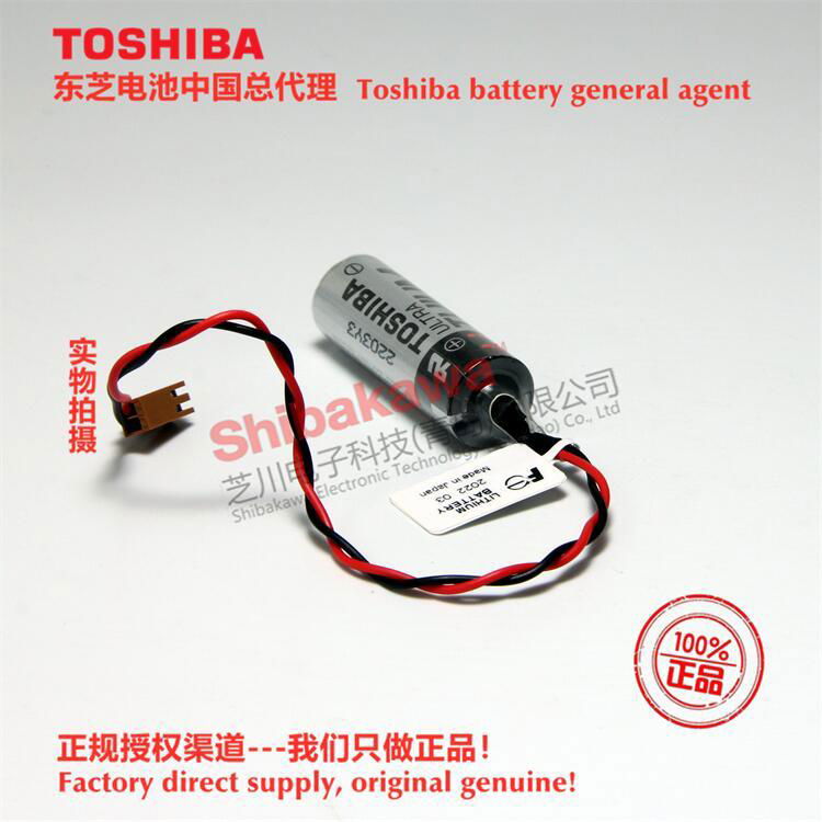 NP8P-BTS Fuji PLC touch screen lithium battery Toshiba ER17500V lithium battery 5
