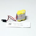 BR-2/3AGCT4A Fanuc/Okuma PLC CNC Battery A98L-0031-0025A A06B-6114-K504 3