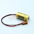 A98L-0031-0006 BR-2/3A A02B-0118-K111 FANUC CNC lithium battery 17