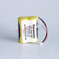 BR-ACF2R BR-AGCF2P Panasonic 6V battery Fanuc Fanuc CNC battery